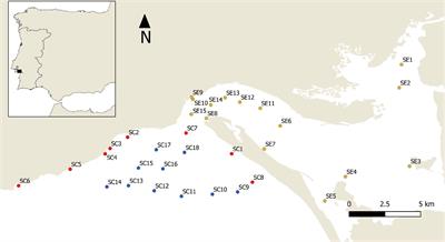 Modelling the Distribution of a Commercial NE-Atlantic Sea Cucumber, Holothuria mammata: Demographic and Abundance Spatio-Temporal Patterns